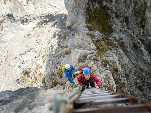 Die Leiter hinauf