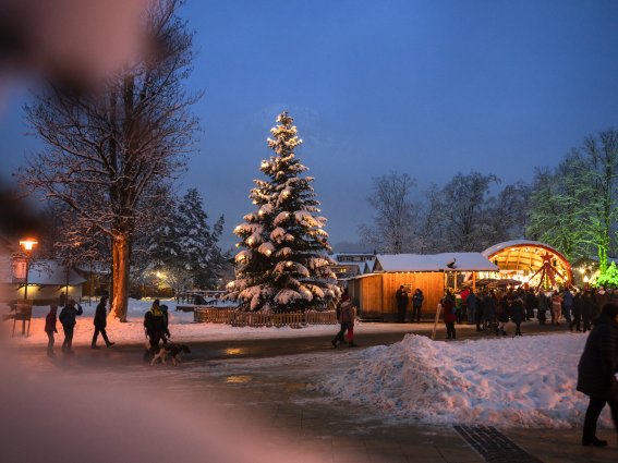 Christbaum