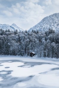 Der zugefrorene Freibergsee