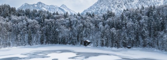 Der zugefrorene Freibergsee