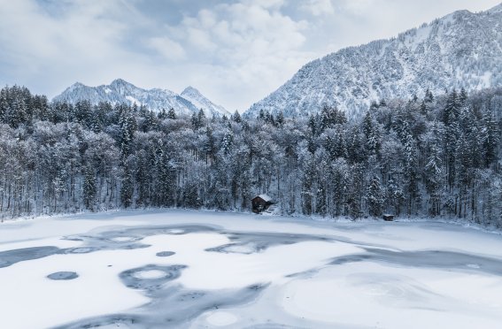 Der zugefrorene Freibergsee