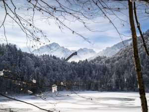 Freibergsee