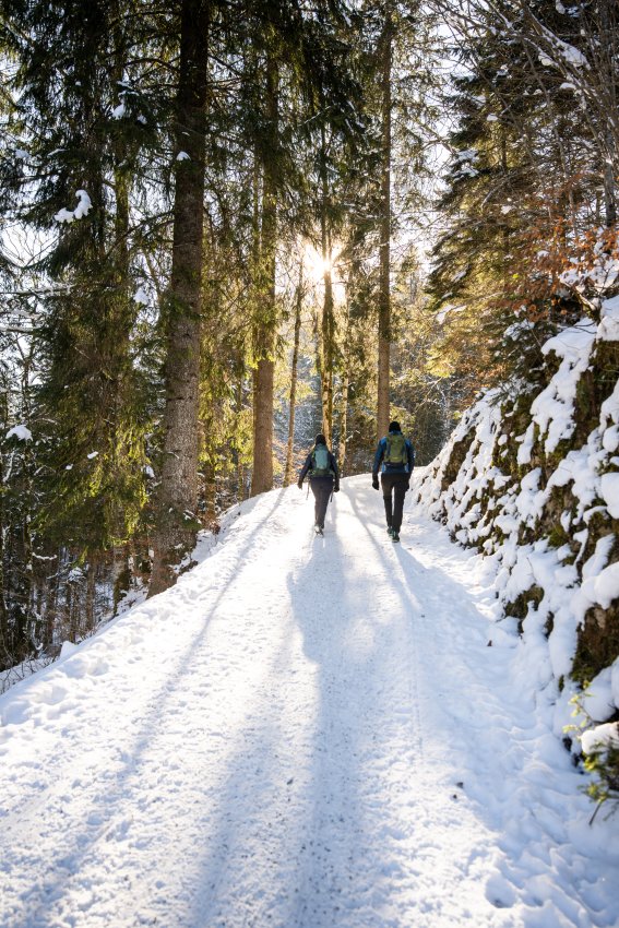 Aufstieg zum Freibergsee