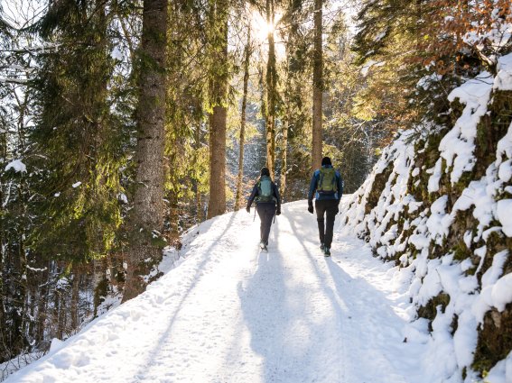 Aufstieg zum Freibergsee