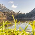 Der Winter am Freibergsee zieht sich zurück