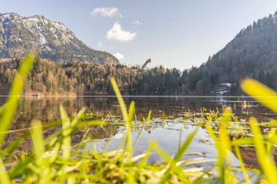 Der Winter am Freibergsee zieht sich zurück