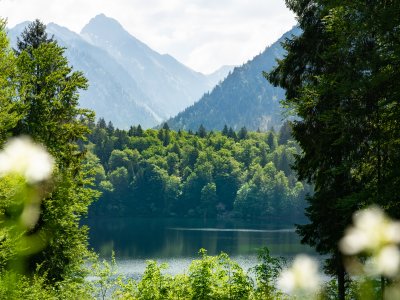Sommerlicher Freibergsee