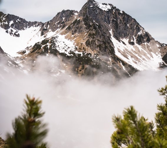 Nebel unterhalb des Rubihorns