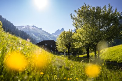Frühlinghaftes Einödsbach
