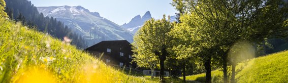Frühlinghaftes Einödsbach