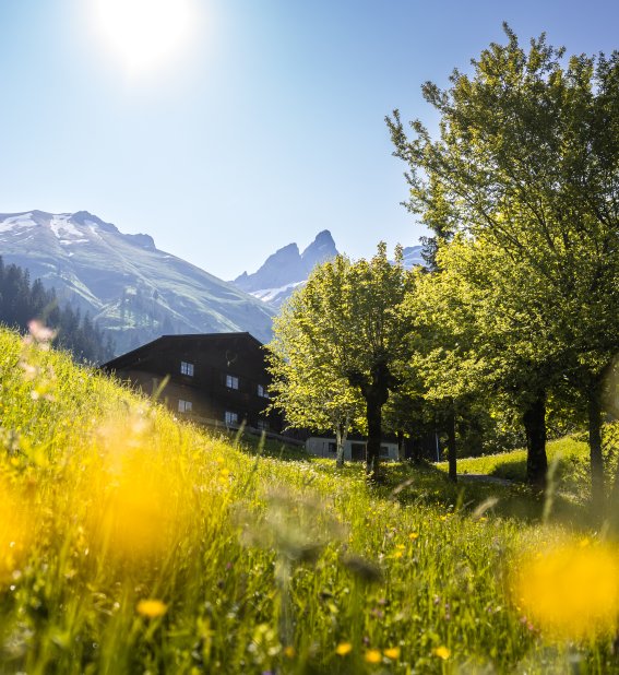 Frühlinghaftes Einödsbach Frühlinghaftes Einödsbach