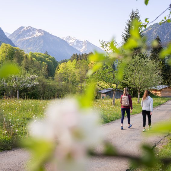 Spaziergang zum Moorweiher