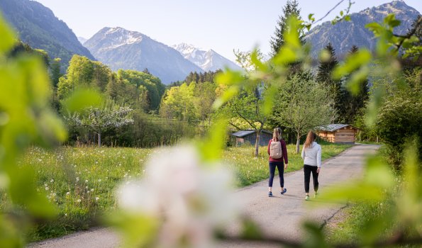 Spaziergang zum Moorweiher