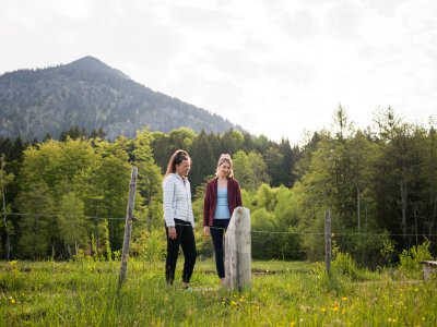 Der Naturlehrpfad am Moorweiher