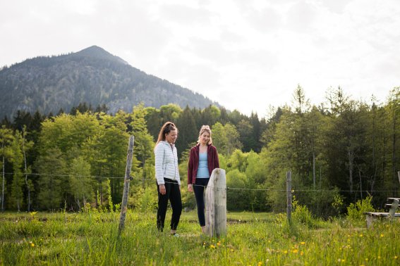 Der Naturlehrpfad am Moorweiher