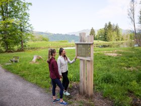 Naturlehrpfad Moorweiher