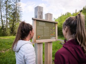 Natur erfahren am Moorweiher