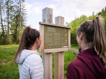 Natur erfahren am Moorweiher