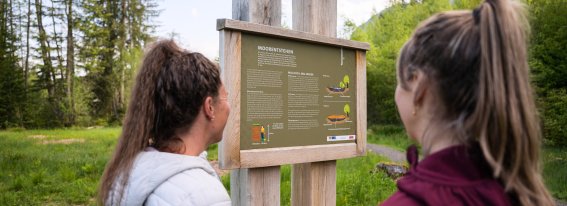 Natur erfahren am Moorweiher