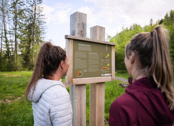 Natur erfahren am Moorweiher