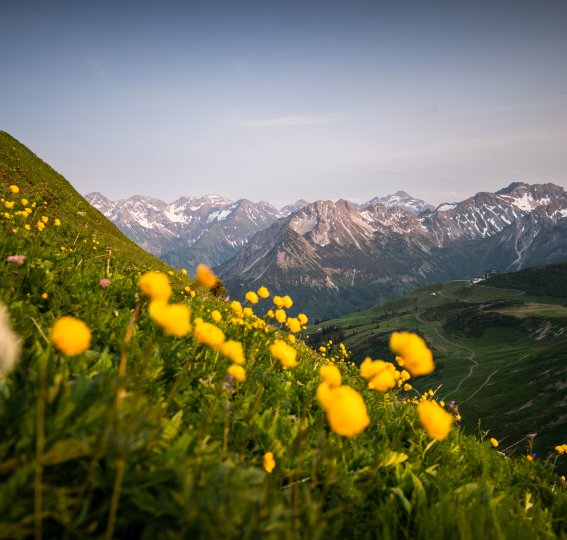 Ausblick vom Fellhorngrat