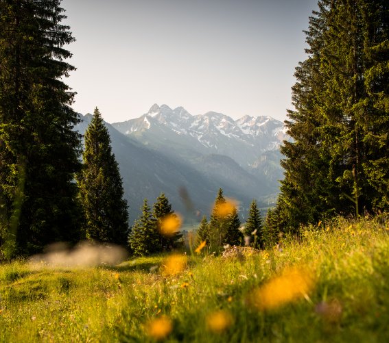 Unterwegs am Fellhorn