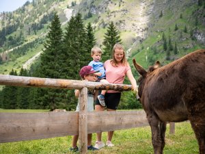 Tierische Begegnungen