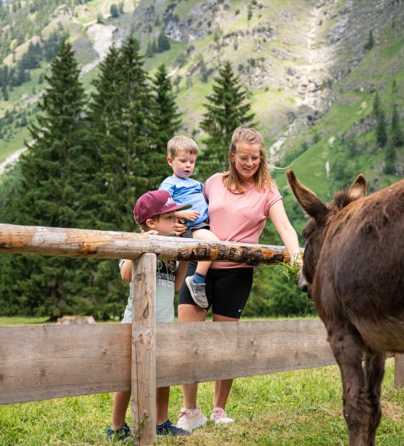 Tierische Begegnungen