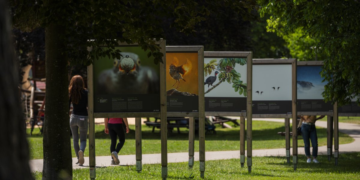 Ausstellung des Fotogipfels