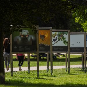 Ausstellung des Fotogipfels