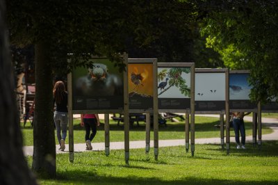 Ausstellung des Fotogipfels