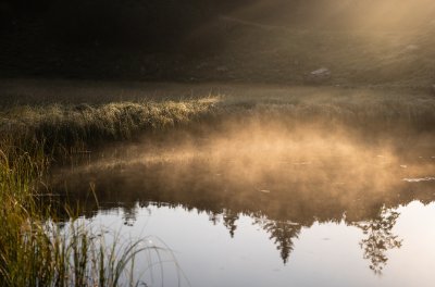 Der Guggersee