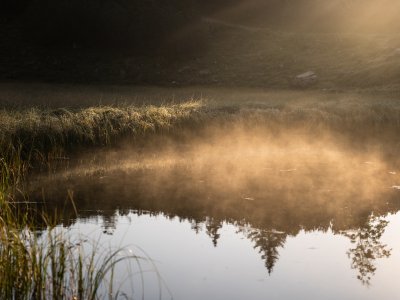 Der Guggersee