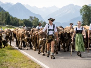 Der Schöllanger Viehscheid