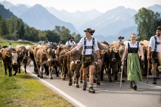 Der Schöllanger Viehscheid