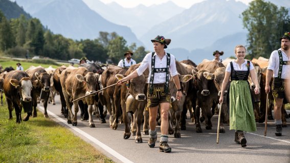 Der Schöllanger Viehscheid