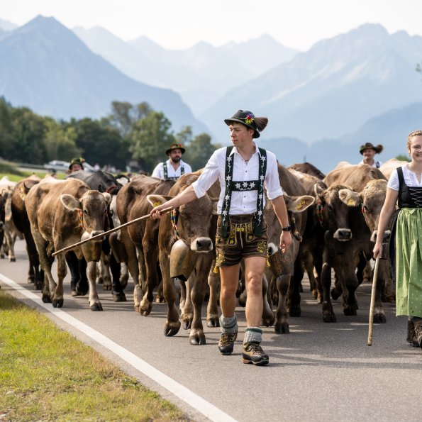 Der Schöllanger Viehscheid