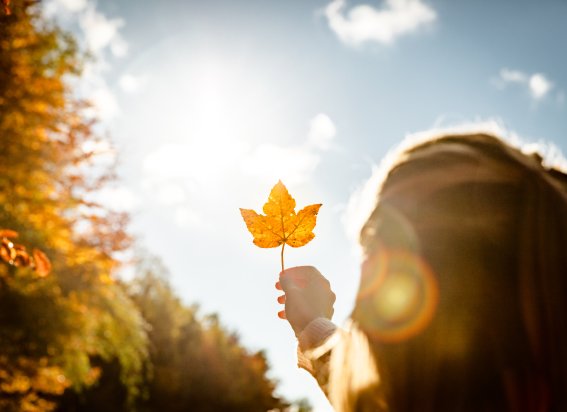 Achtsam durch den Herbst