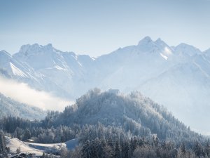 Blick zur Schöllanger Burg