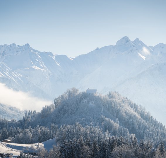 Blick zur Schöllanger Burg