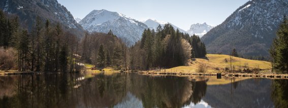 Spiegelung im Moorweiher