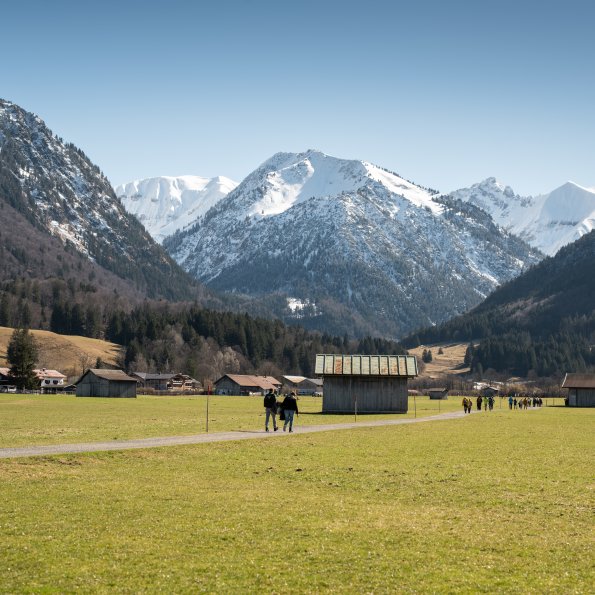 Frühling im Tal