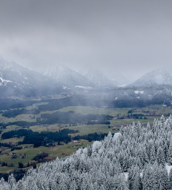Grüne Täler, weiße Hänge