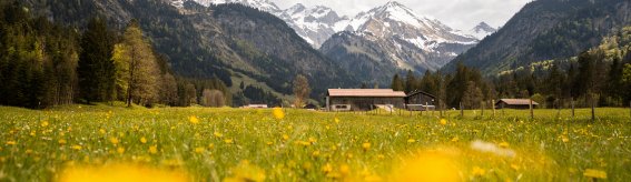 Blick nach Birgsau im Stillachtal