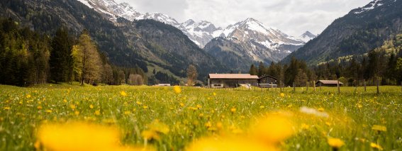Blick nach Birgsau im Stillachtal
