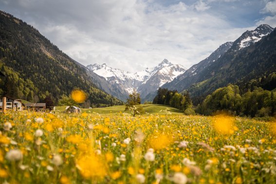 Frühling im Trettachtal