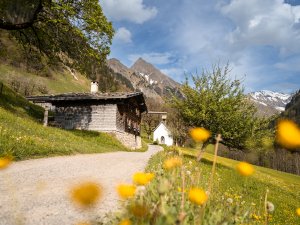Frühlingshaftes Gerstruben