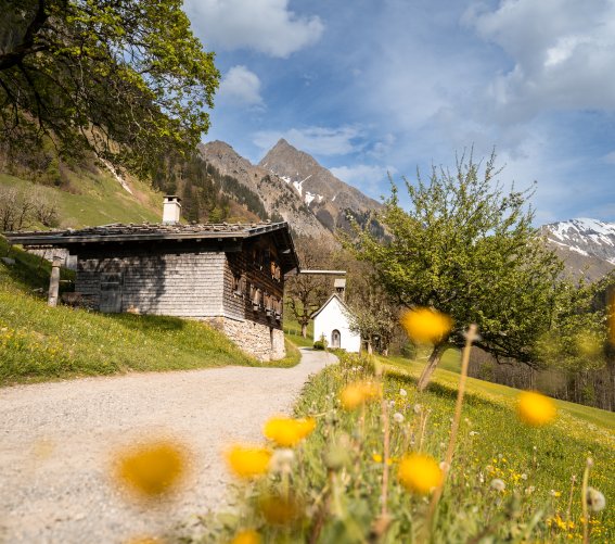 Frühlingshaftes Gerstruben