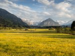 gelbe Wiesen vor dem Himmelschrofen