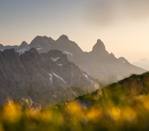 Blick vom Muttler Kopf in Richtung Kratzer und dahinter auf das Allgäuer Dreigestirn